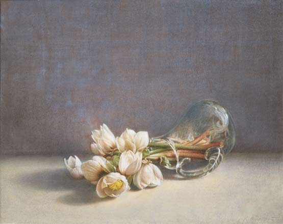 Ellebori - tempera, cm 50x40, 2006