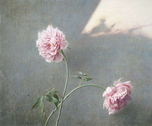Peonie - tempera, cm 60x50, 2006