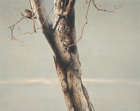 Alba - tempera, cm 50x40, 2007