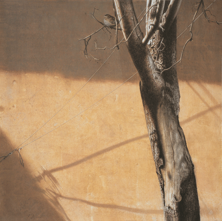 Albero - tempera, cm 70x70, 2008