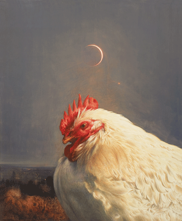 Gallo all'imbrunire - tempera, cm 50x60, 2008