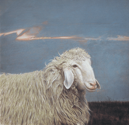 Dopo il temporale - tempera, cm 40x40, 2007