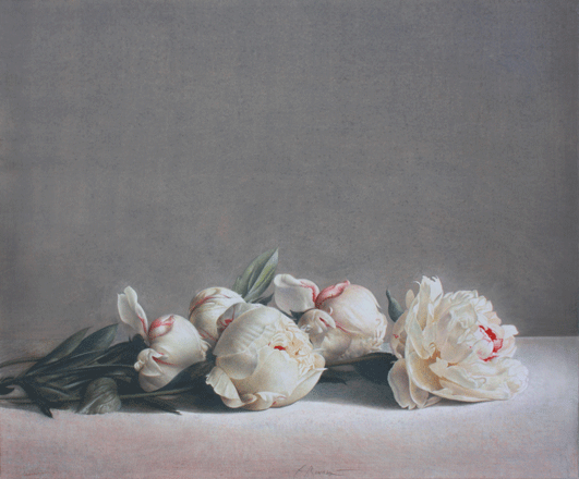 Peonie - tempera, cm 60x50, 2009
