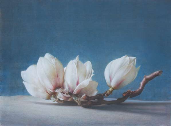 Magnolie - tempera, cm 40x30, 2009