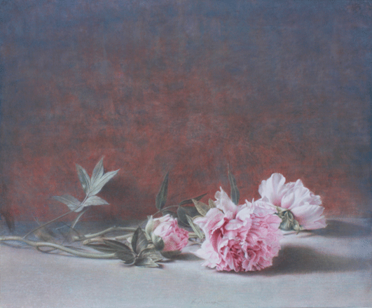 Peonie - tempera, cm 60x50, 2009