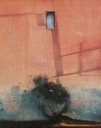Rose a dicembre - tempera, cm 80x100, 1999