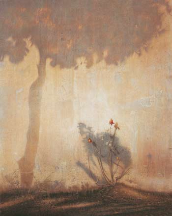Il pino - tempera, cm 80x100, 2004