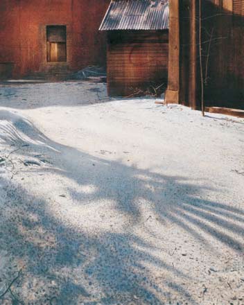 Cortile - tempera, cm 80x100, 2001