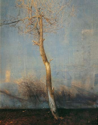 Albero - tempera, cm 80x100, 2002